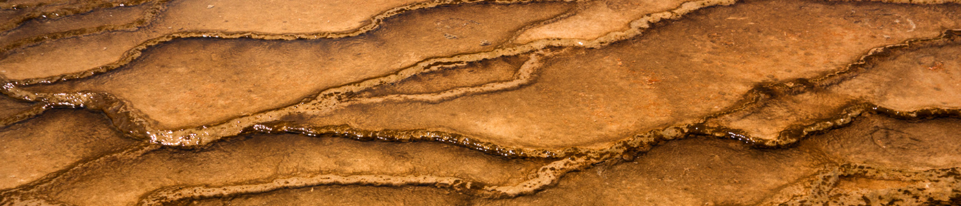 Midway Geyser Basin Detail
