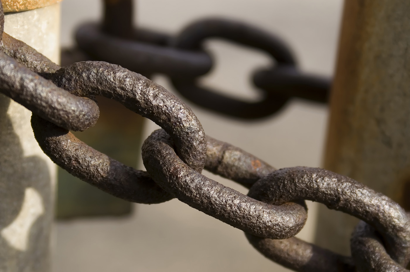 Argonne National Laboratory - Dog Kennel Chains (2005)