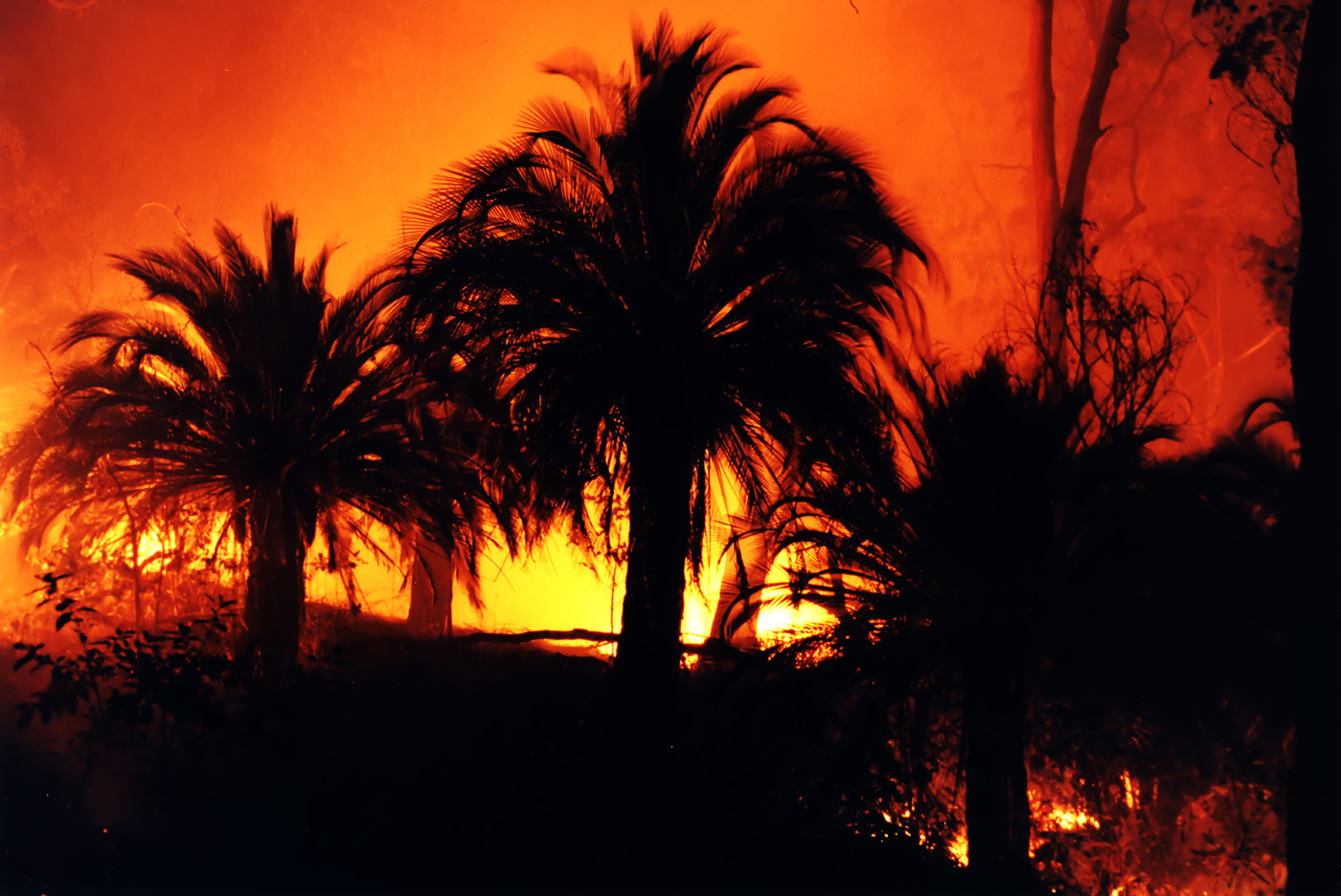Australia - Carnarvon National Park - Controlled Burn (2003)