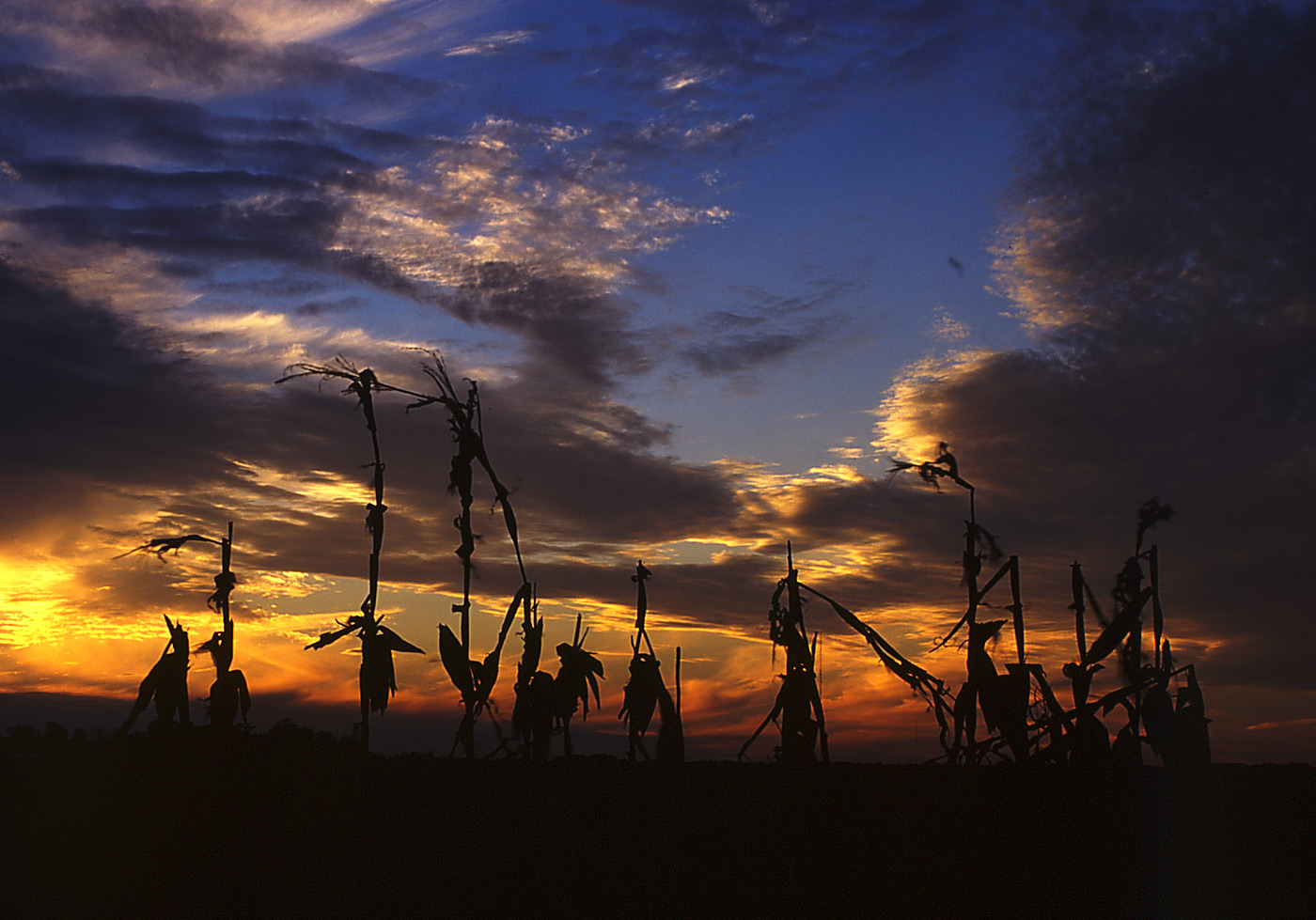 Central IL - Sunset (2003)