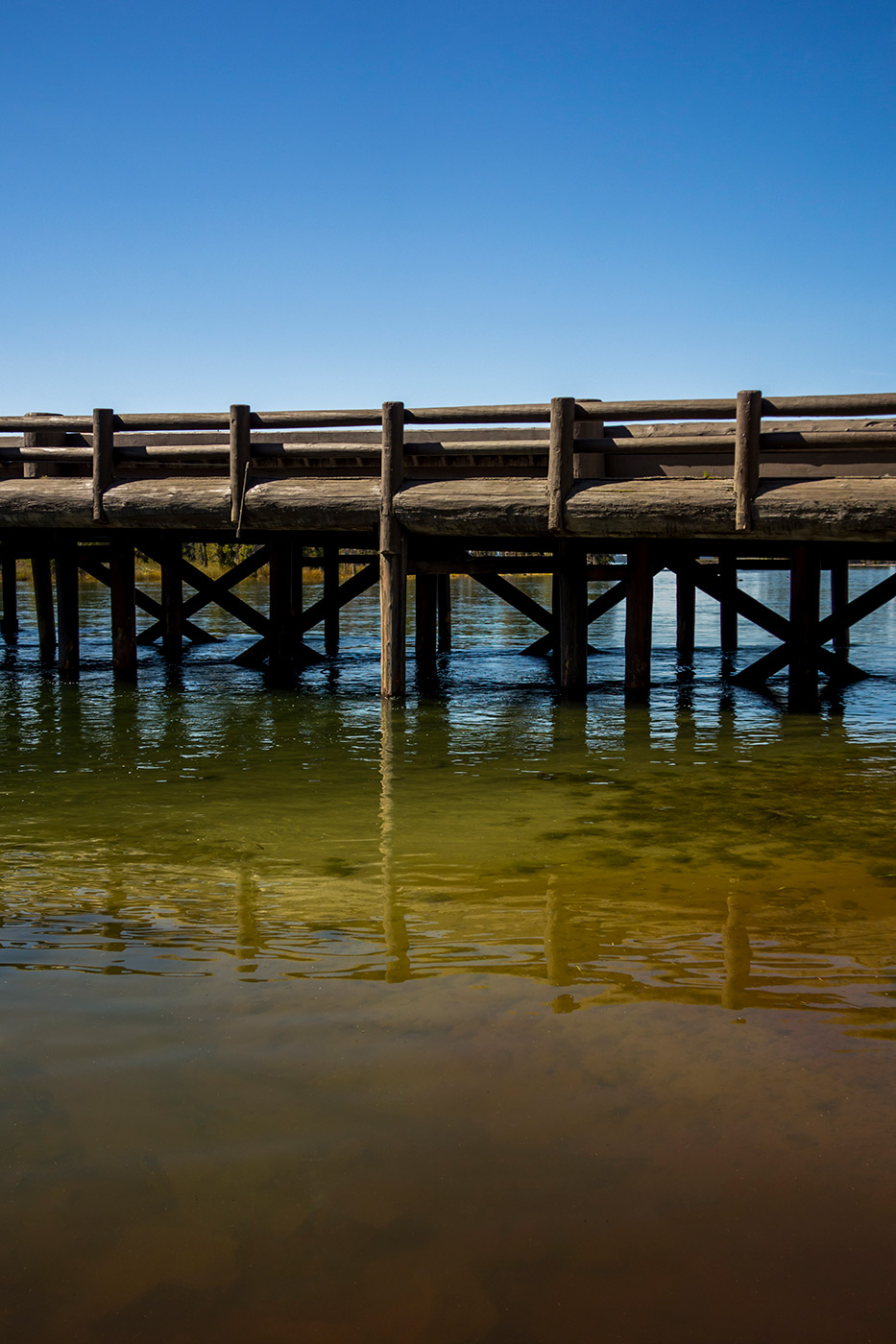 Yellowstone National Park - Fishing Bridge (2014)